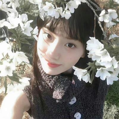 记录的地平线第三季