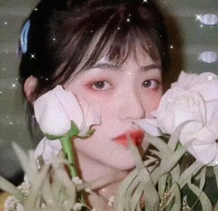 参礼 在线观看